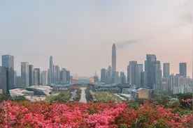 深圳上榜全球最富有城市，百万富翁增幅超100%图片