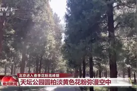 北京进入春季花粉高峰期 “控增量、降浓度”多措并举防治花粉图片