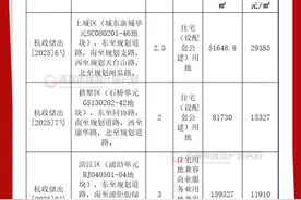 岁末杭州挂地加速：安琪儿连续出击 浦沿TOD上架 石桥新添8万㎡供应图片