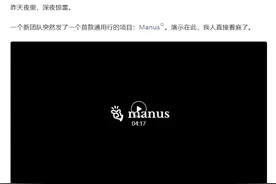 被捧为“国产AI之光”的Manus，半天就翻车了？图片