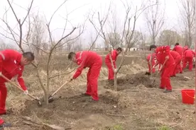 中国石油辽河油田精准施策抓谋划 绿色油区启新程图片
