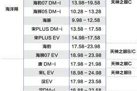 7.88万！比亚迪扔出智驾平权“炸弹”图片