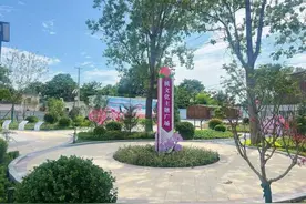 肥城市打造“万亩桃园”文明实践展示片区图片