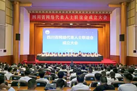 李子柒、谭乔担任副会长图片