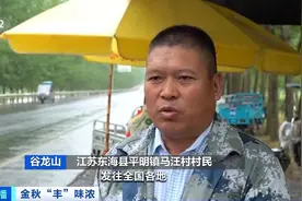 江苏菱角、栗子相继上市！销往全国供不应求图片