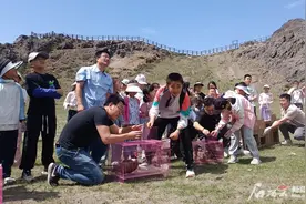 环颈雉、雀鹰、黑鸢……这些野鸟飞回大自然图片