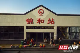 春梅绽放在武陵山：慢火车上的公益直播队图片