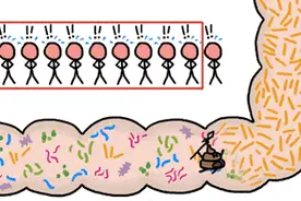 经常放屁，是肝癌预警？爱憋屁的人，肝多半不好？这3种屁不是大病就是癌，别傻傻以为肠胃不好图片