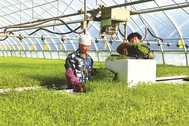 夯实农业增效根基 确保全年粮食丰收  兰州市全面部署春耕备耕工作图片