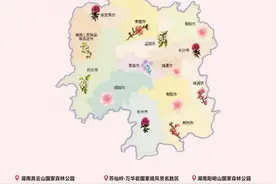 湖南春日赏花图鉴：奔赴一场三湘四水的花事盛宴图片