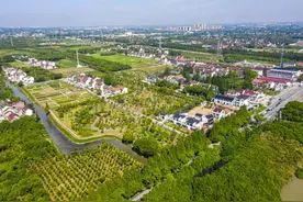 这些常见的树，它们的种子我猜你没见过~图片
