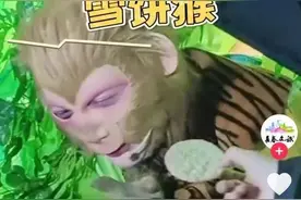 趴着上班只负责吃，这只“猴”凭啥火出圈？图片