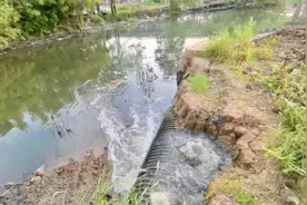 武汉一河道黑臭数年瞒报，排污被中央环保督察组抓了现行图片