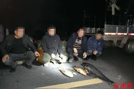 4人，近20公斤！桃源公安打掉一非法捕捞团伙图片