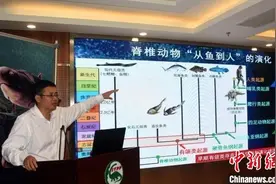 中国古生物学家朱敏当选瑞典皇家科学院外籍院士图片
