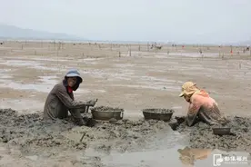 鲜！嫩！甜！福州大量上市！图片