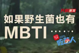 开屏策划｜如果野生菌也有MBTI……图片