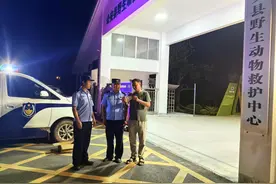 守护生态之美 公安县警民深夜救助野生动物图片