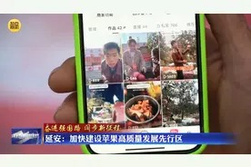 延安：加快建设苹果高质量发展先行区图片