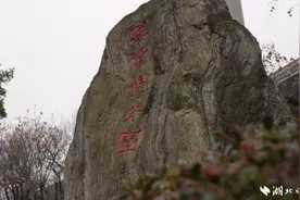因为它，韩红撒贝宁都哭了！图片