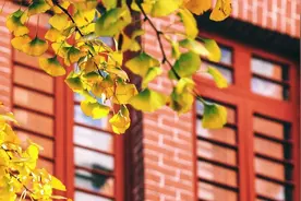 建院117周年|大名、曾用名、非官方名……那些年湘雅的更名简史图片