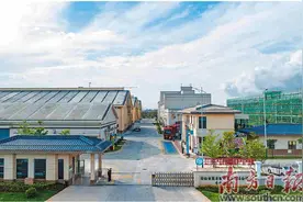 台山斗山 借势超级工程 侨梓故里焕新图片