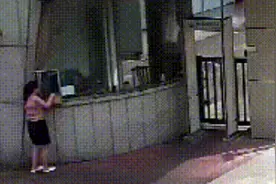 佛山九江街头惊现怪鸟，一见人就大变身！竟有点像“尖叫鸡”……图片