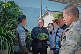 云南临沧：选派“自然村长”照亮乡村振兴之路图片