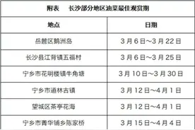 晨读计划 | 当女神节遇上周末，这些精彩活动千万不要错过！图片
