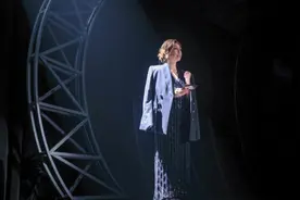 陈洁仪：一个女明星的30年工作总结图片