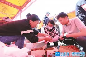 威海1.4万亩樱桃迎来产销旺季图片