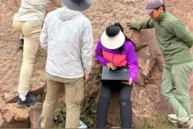 乡道两侧发现小脚印，世界最小蜥脚类恐龙足迹化石现身图片