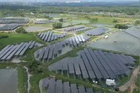 椰视频 | 上有光伏板下有鱼虾游 琼海首个“渔光互补”项目实现“双丰收”图片