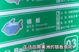 “不能耽误小孩认知”，网友质疑海洋馆多处鱼类铭牌错误，官方回应……图片