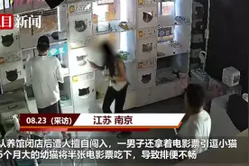 男子私闯宠物店还拿电影票喂猫，已赔偿千余元，店方：希望他道歉图片