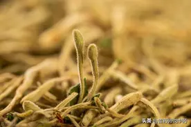 施今墨药对 金银花配连翘图片