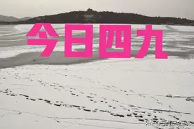 “四九见三象，遍地起新坟”，今日四九逢腊八，“三象”指啥？图片