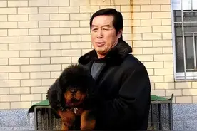 魔鬼与天使并存的马俊仁：遭“马家军”举报开除，如今靠养狗暴富图片
