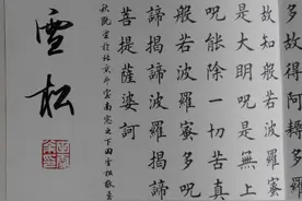 田雪松，这个“霸占”书店字帖架的男人，让田英章提前退休图片