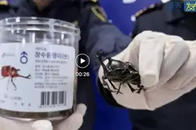 好好好还玩这个是吧图片