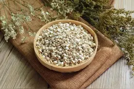 脸色差身体胖吃薏米健脾祛湿图片