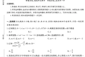 湖南省第一次九校联考数学试卷及解析答案图片