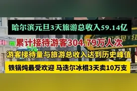 笑死了！南方姑娘在哈尔滨花了70万，怒问文旅局：你们管不管？图片