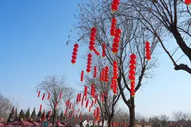 春节期间，临汾市动物园惊喜一大波儿图片