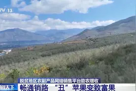 “丑”苹果变致富果！脱贫地区“土特产”这样打开销路→图片