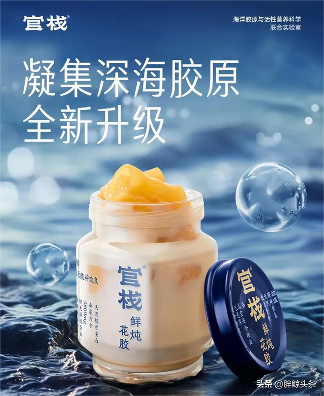 牛油果炖花胶 2026年牛油果炖花胶怎么做