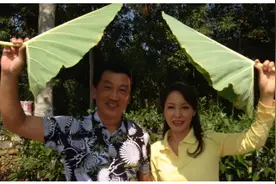 广东电视台出现过的5对夫妻主持人，其中有一对早已离婚图片