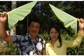 广东电视台出现过的5对夫妻主持人，其中有一对早已离婚图片