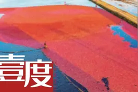 当砂糖橘、蔓越莓在流量中相遇后图片