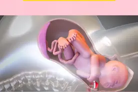 顺产生孩子有多痛！一组3D图告诉你，妈妈太伟大，生而为人要感恩图片
